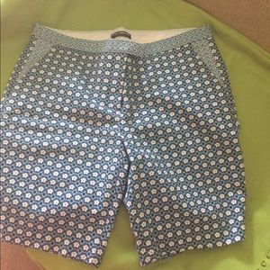 Adorable cute print blue shorts!